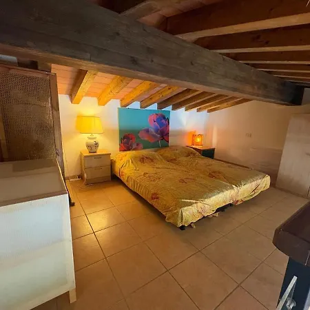 Appartement Callistemo